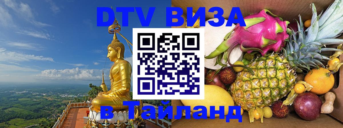 Оформление DTV визы под ключ: стоимость и тарифы, только загранпаспорт - 